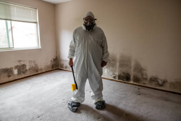 Best Real Estate Mold Inspection  in Byron, CA
